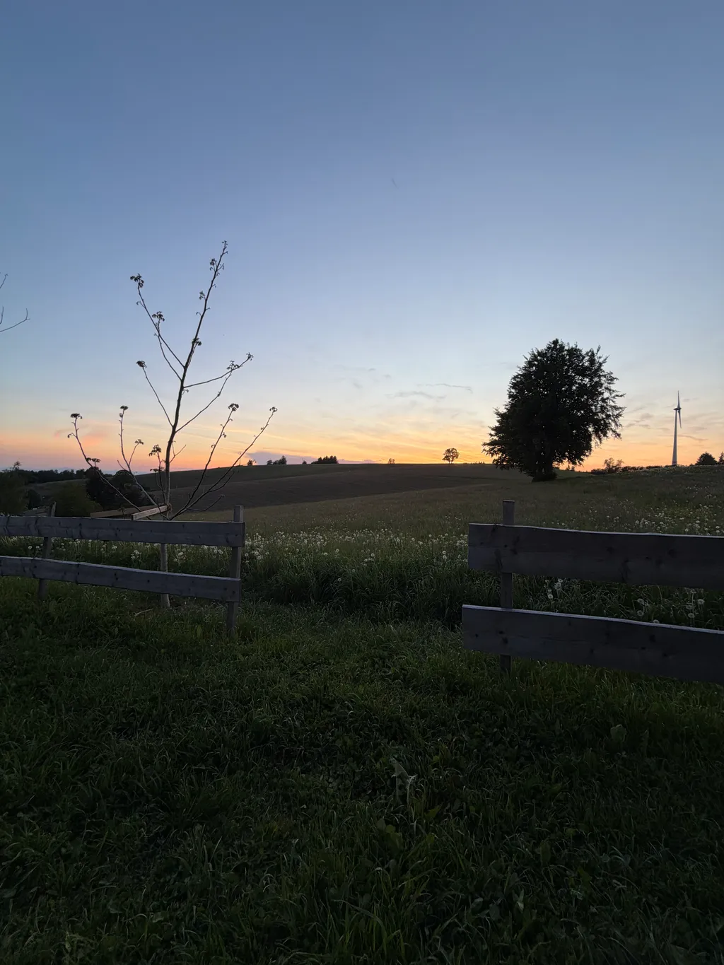 Bild von Anna für den Spot 1571