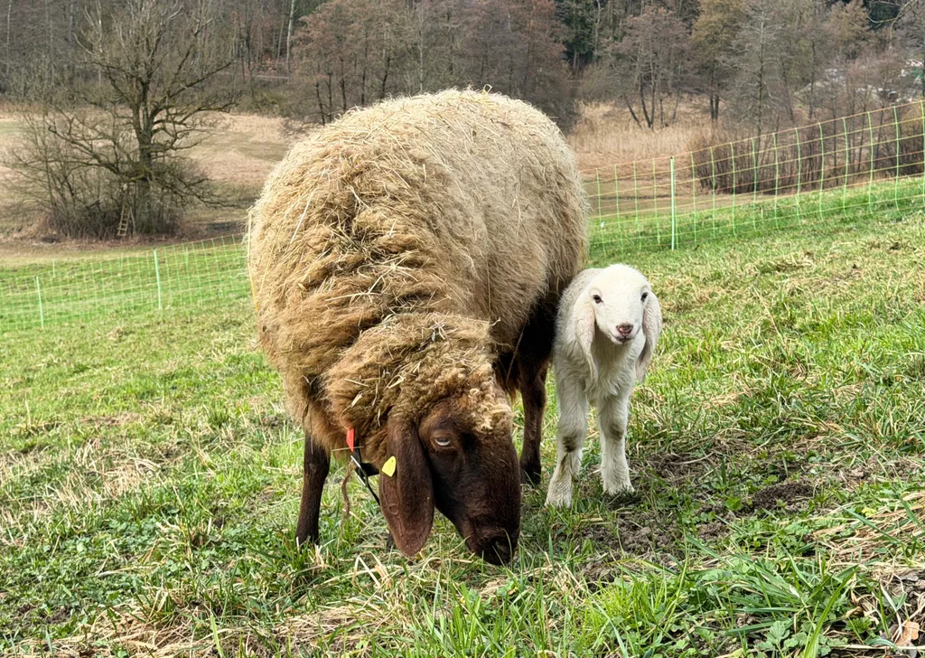 Bild von Rahel für den Spot 4089