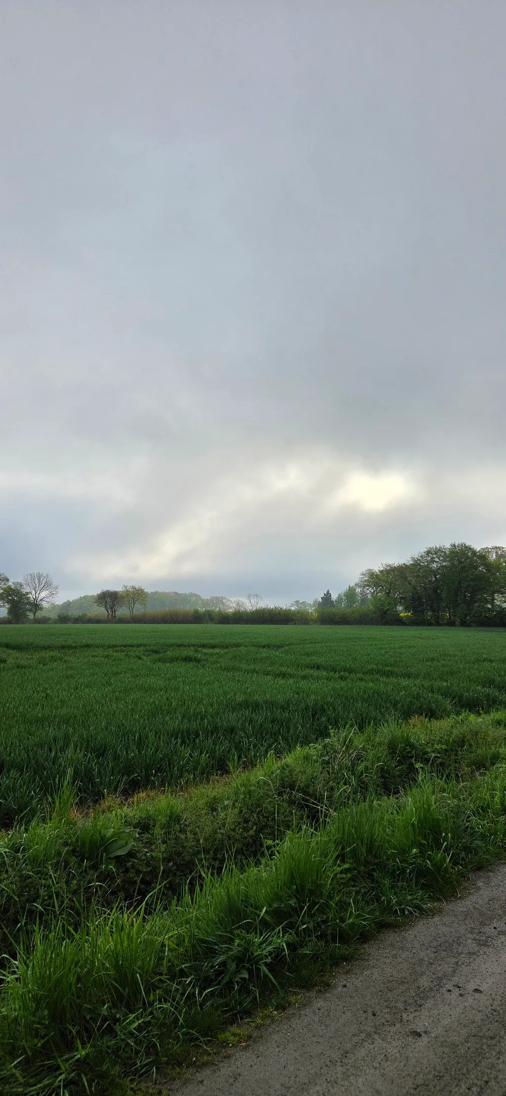 Bild von Karina für den Spot 3646