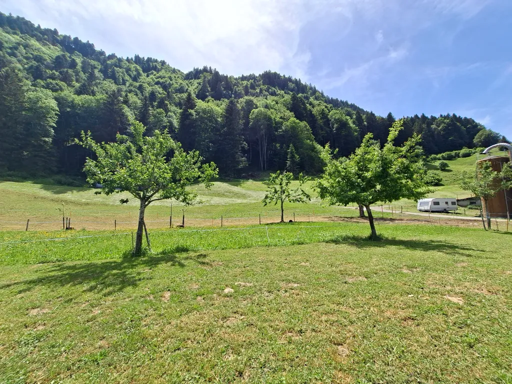 Campingwiese