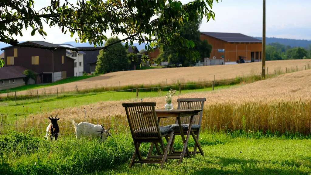 Camping Top of Argovia