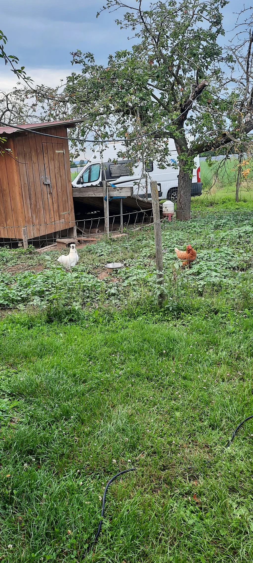 Bild von Isabelle für den Spot 1583