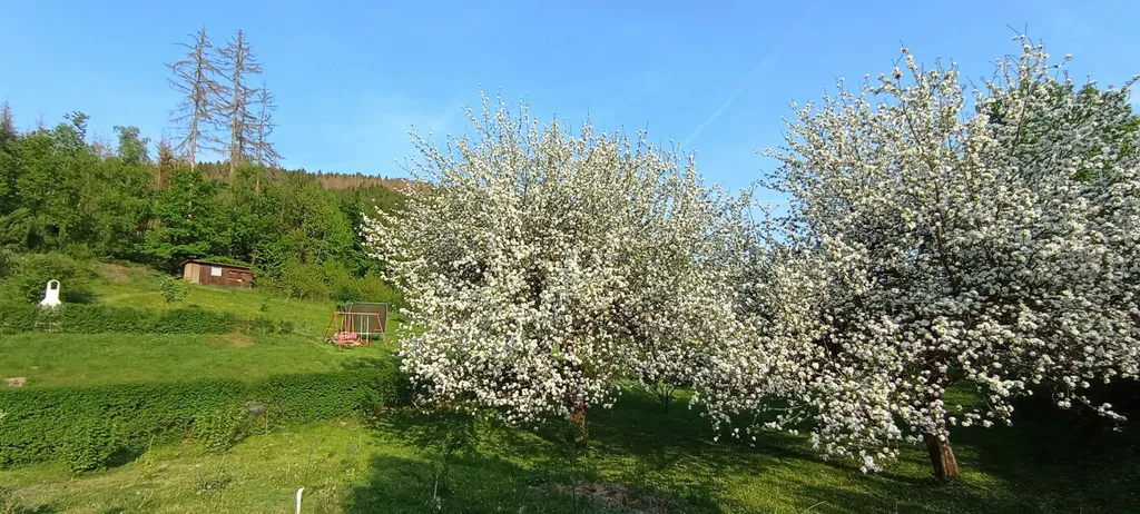 Ruhiger Zelt-Stellplatz