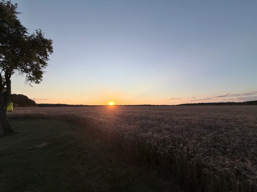 Bild von Regula für den Spot 4135