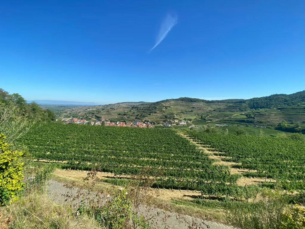 Parkplatz Rischbühl V.-Bickensohl