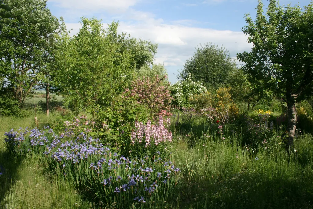 Unter Obstbäumen mit Weitblick