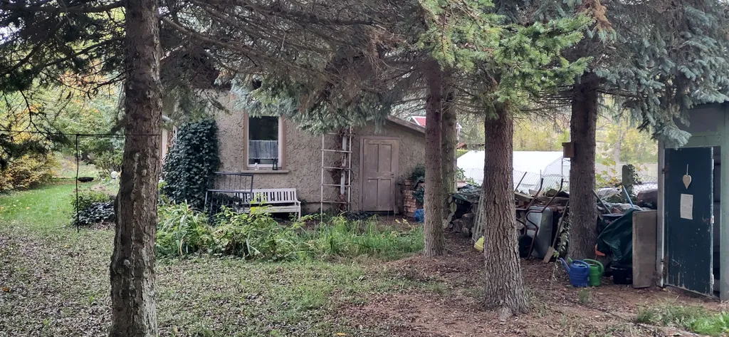 Bild von Thomas für den Spot 1881