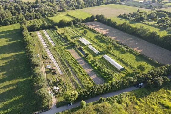 Parking on organic farmland
