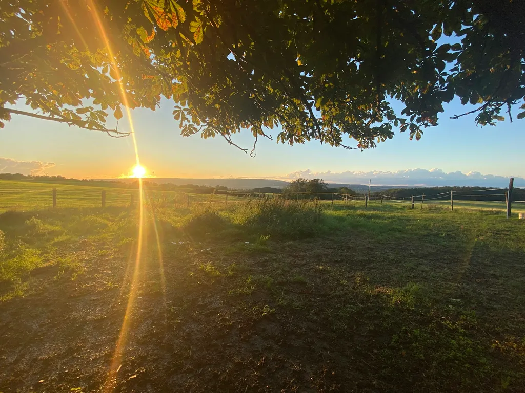 Panoramablick unter Kastanie