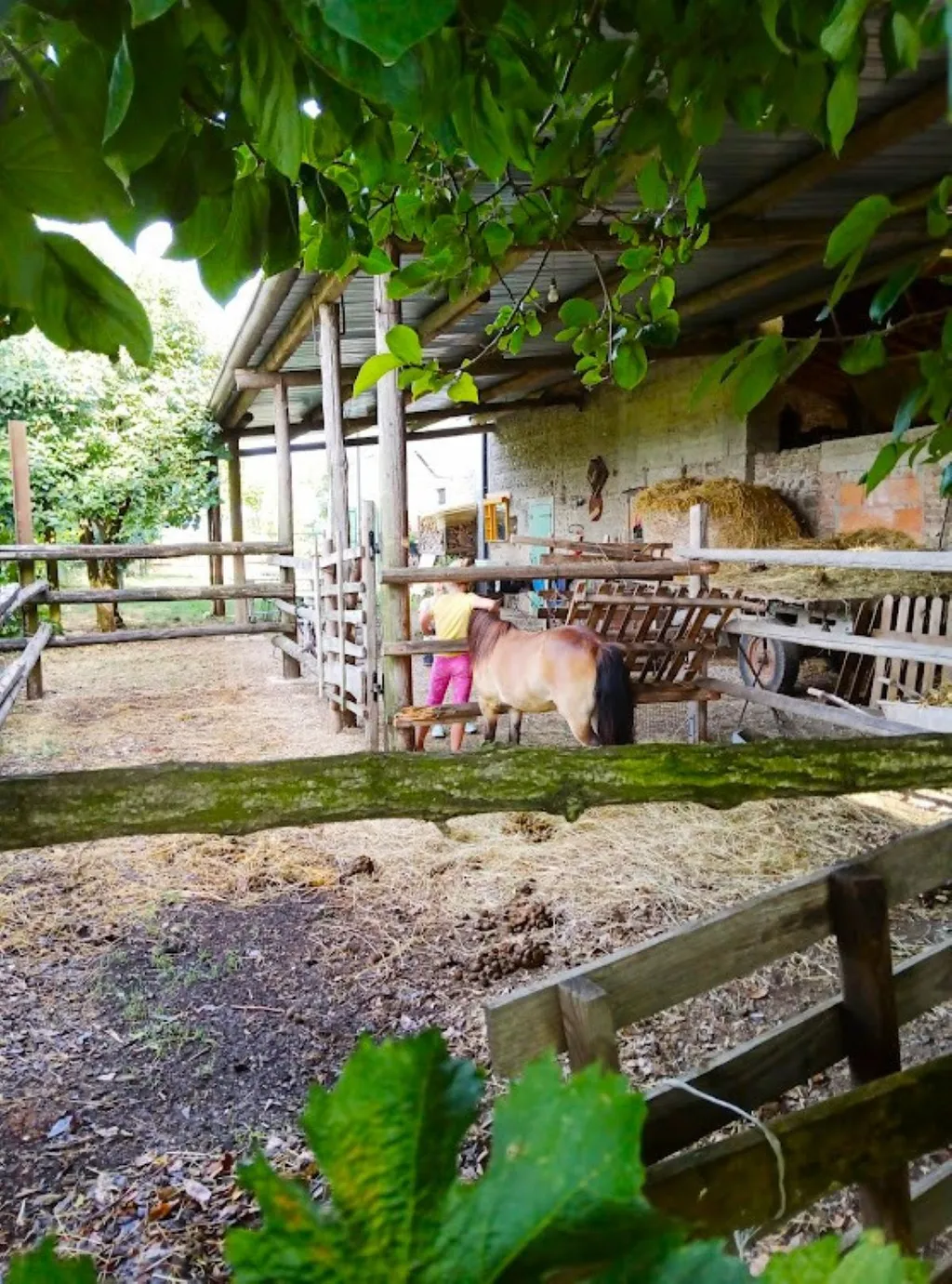 Farm   on cycle path  between Garda Lake-Mantua