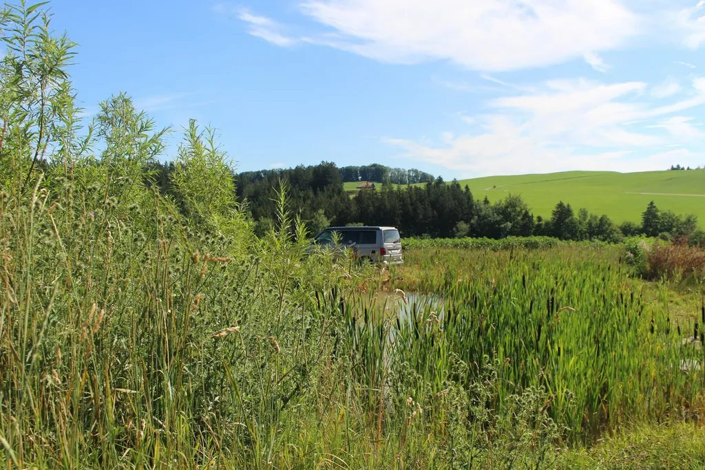 Natur-Camp am Badeteich
