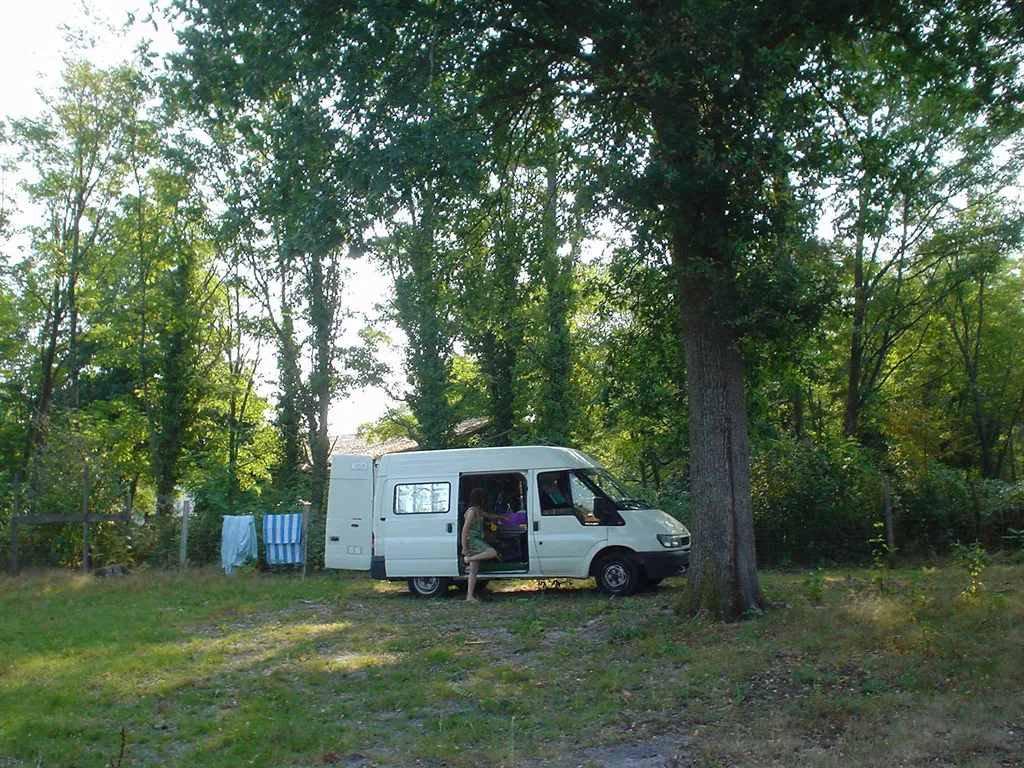Ferme fruitière dans la forêt landaise