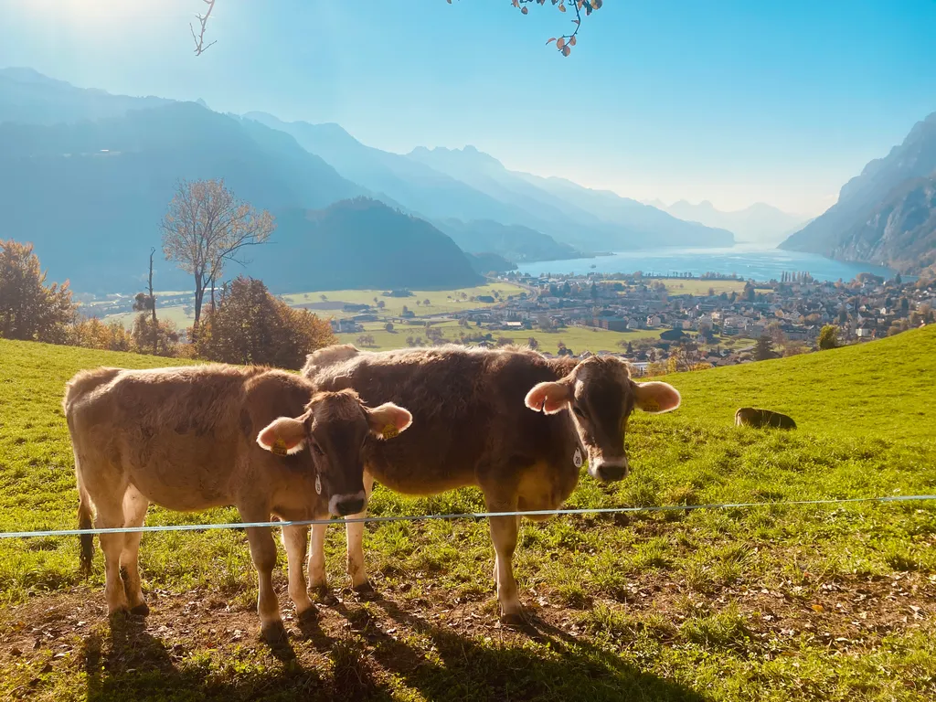 Bild von Sabrina für den Spot 713