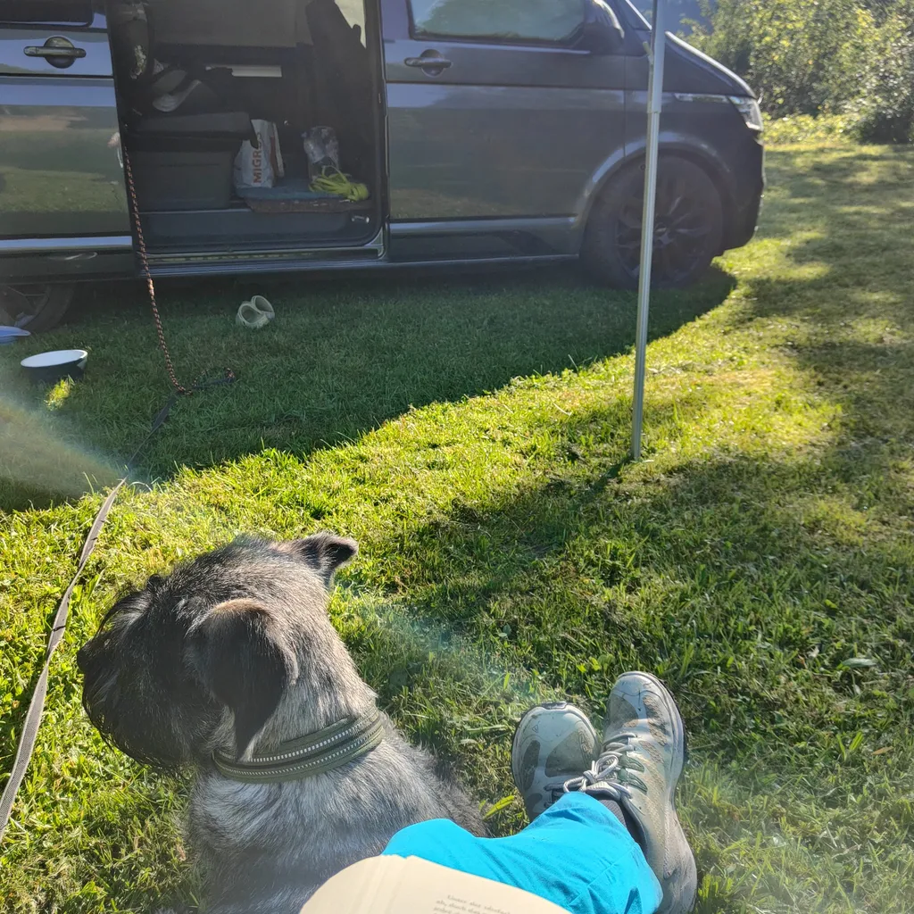 Profilbild von Nadine