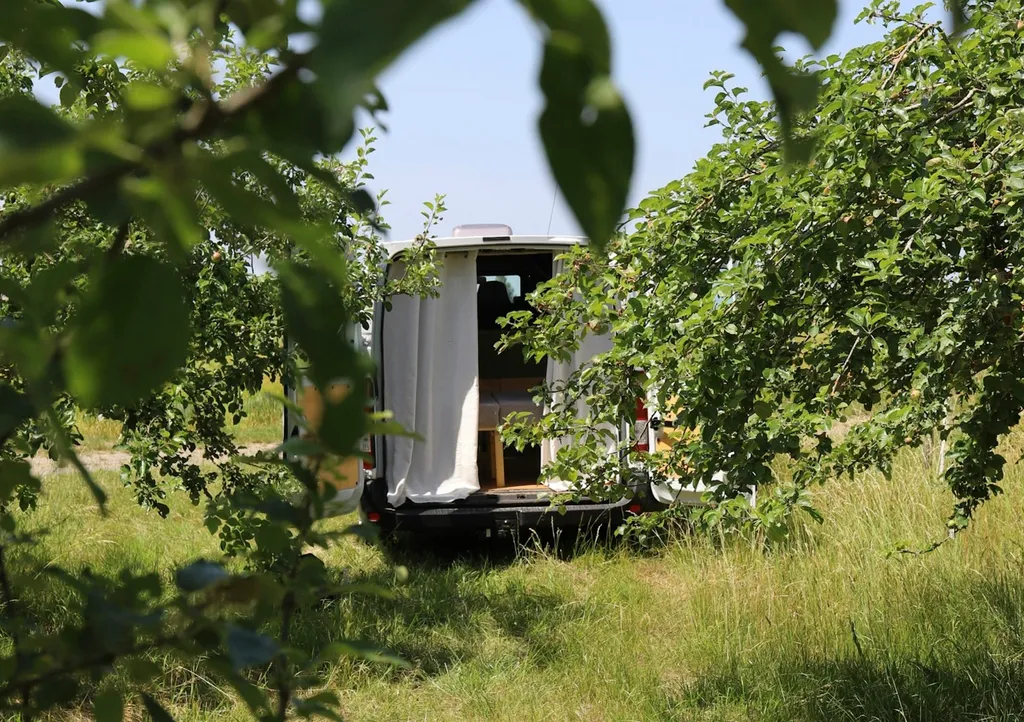 Wilde Ruhe auf naturnaher Obstwiese