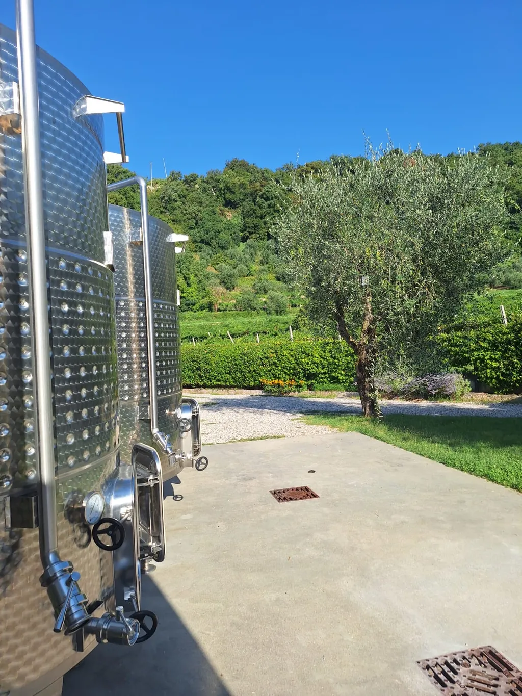 Bild von Sara für den Spot 1055