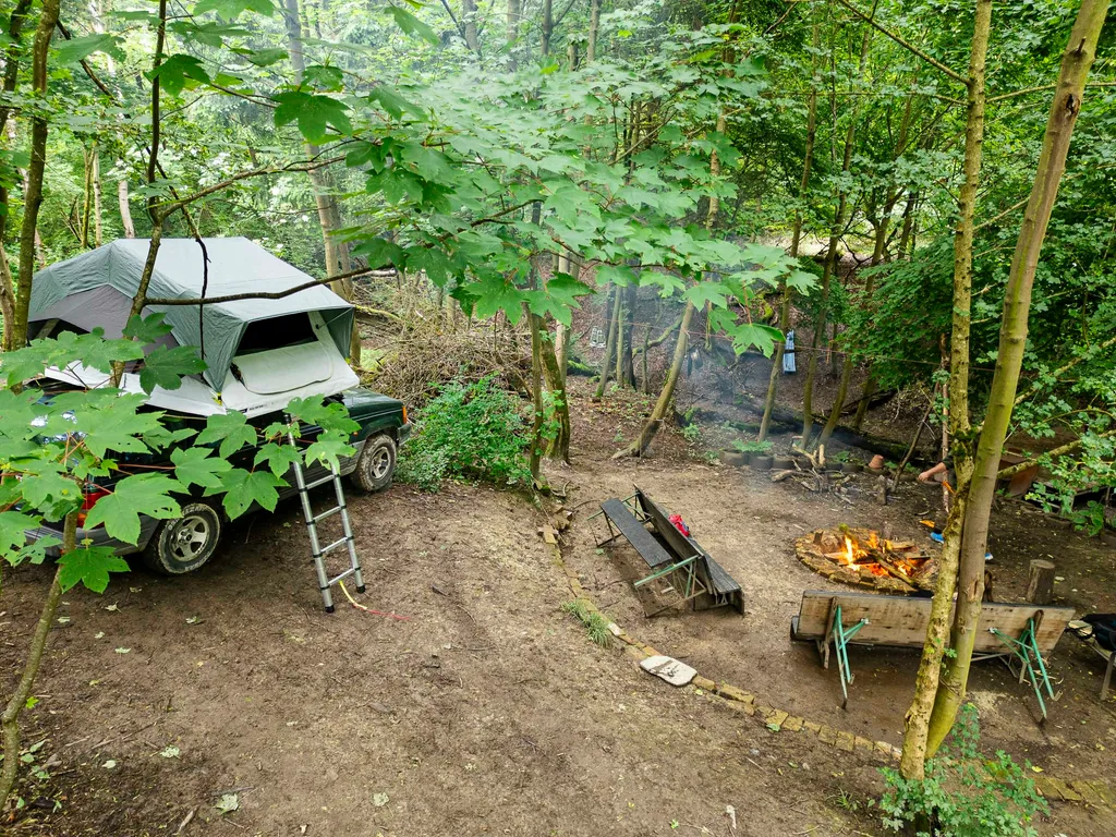 Waldgrundstück|Abenteuer|Survival