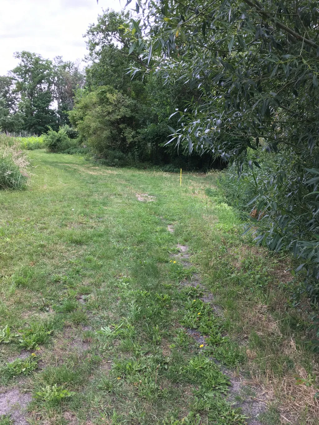 Naturnah am Jubelitzsee