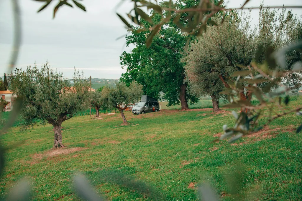 Camp L'officina dei sogni