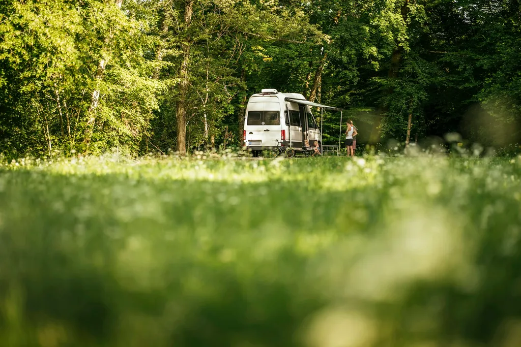 halbseitig von Bäumen geschützt