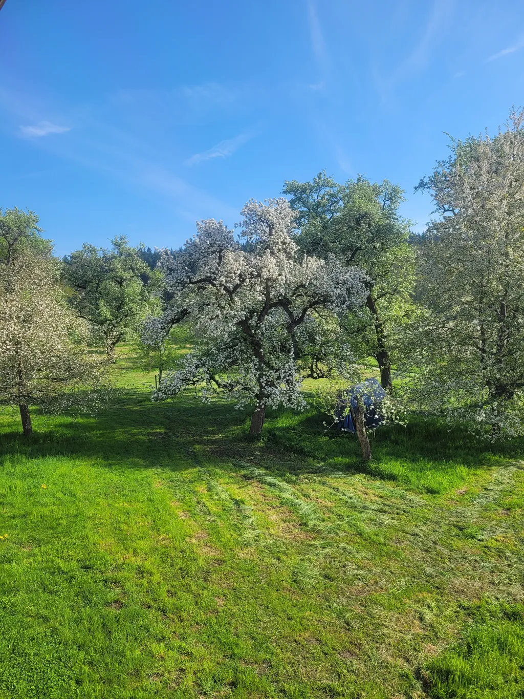 Zelt- und Stellplätze im Grünen