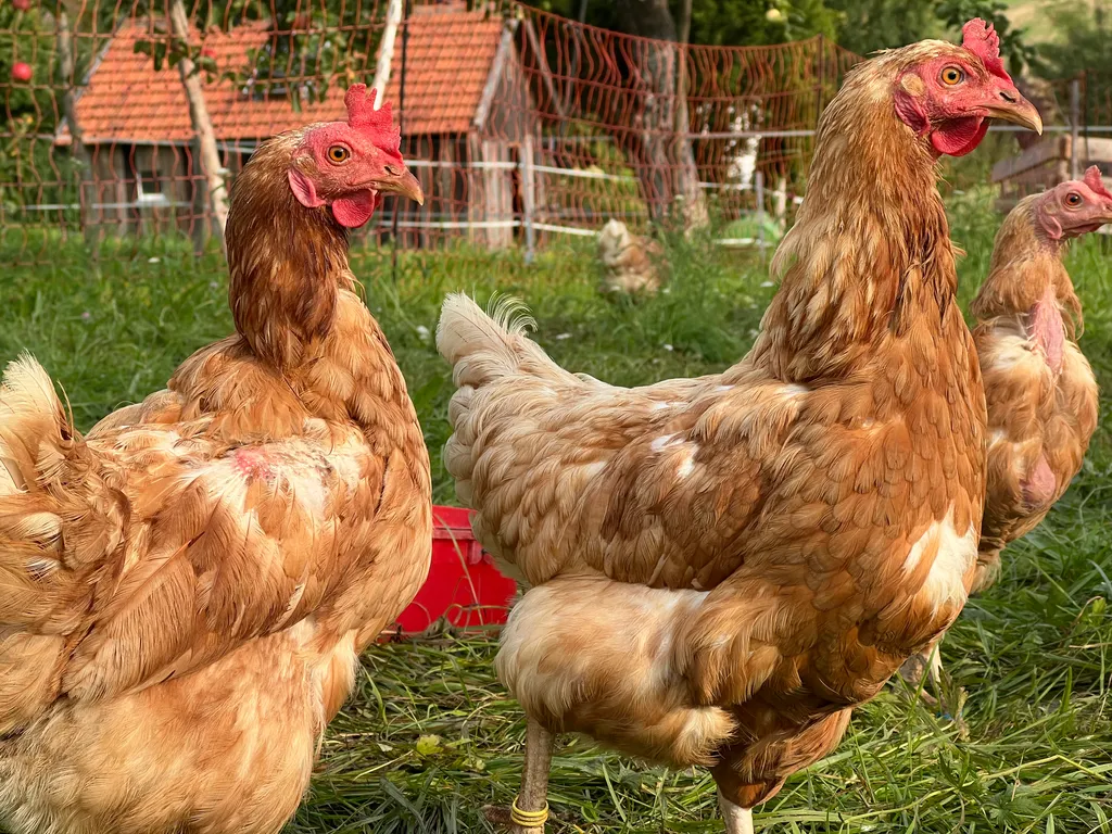 Bild von Florian für den Spot 1753