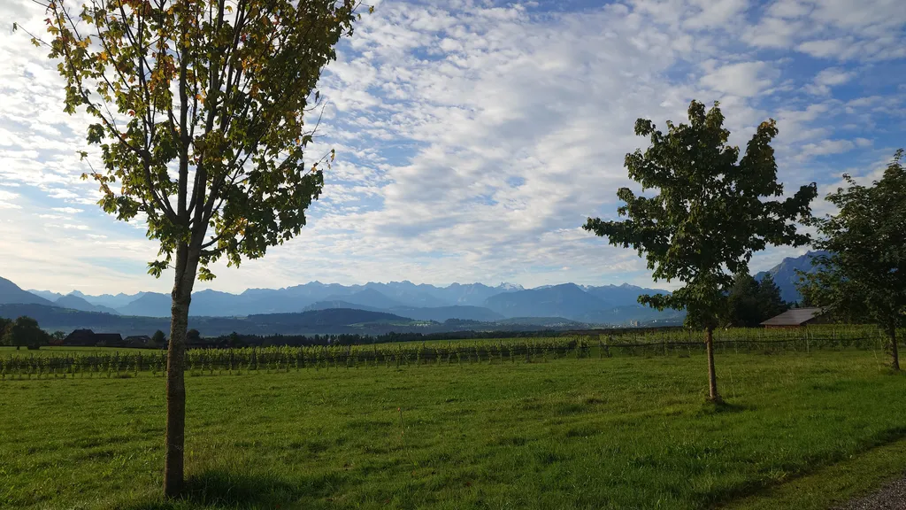 Bild von Lex für den Spot 212