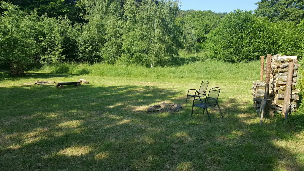 Wunderschöne Waldrandwiese