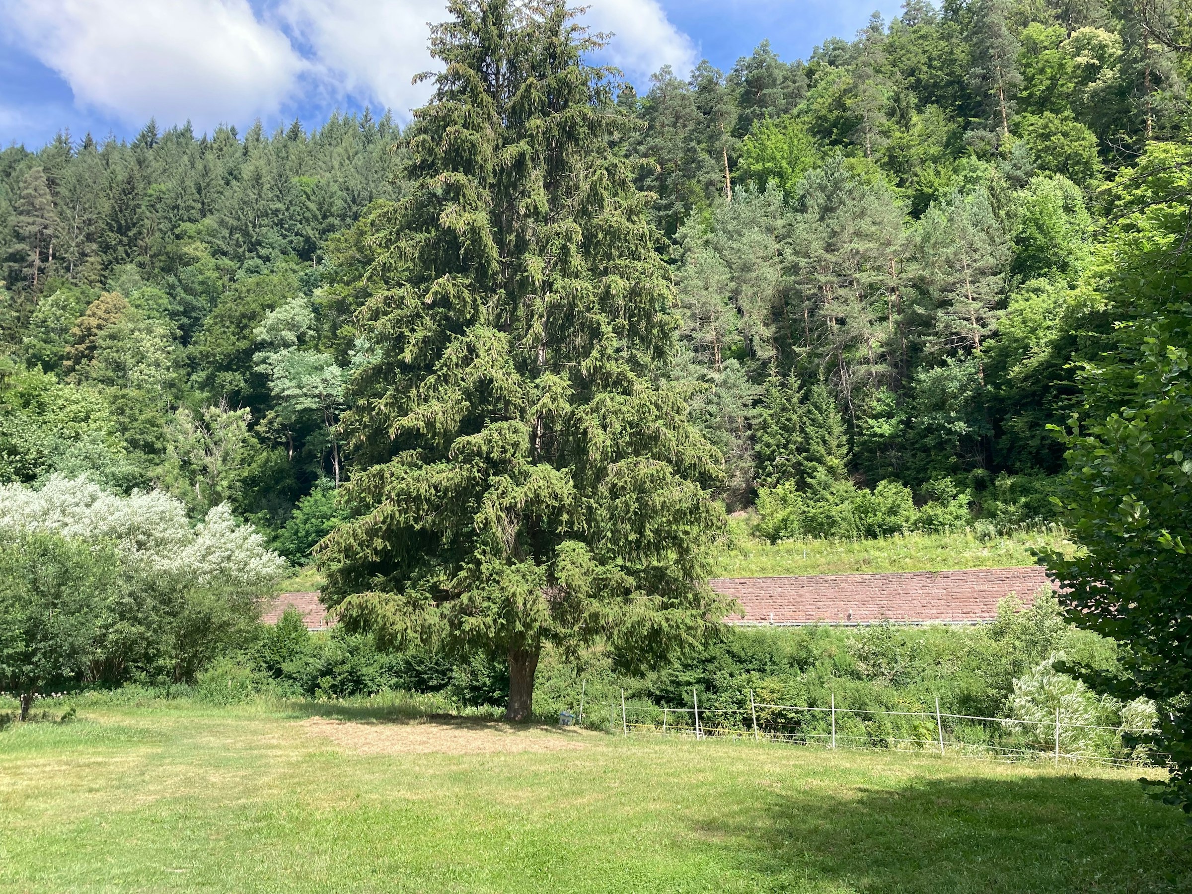 Übernachtung im historischen Nagoldtal — photo 7