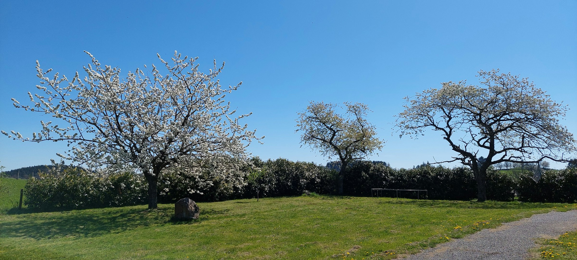 Au pied du bois d'Azole