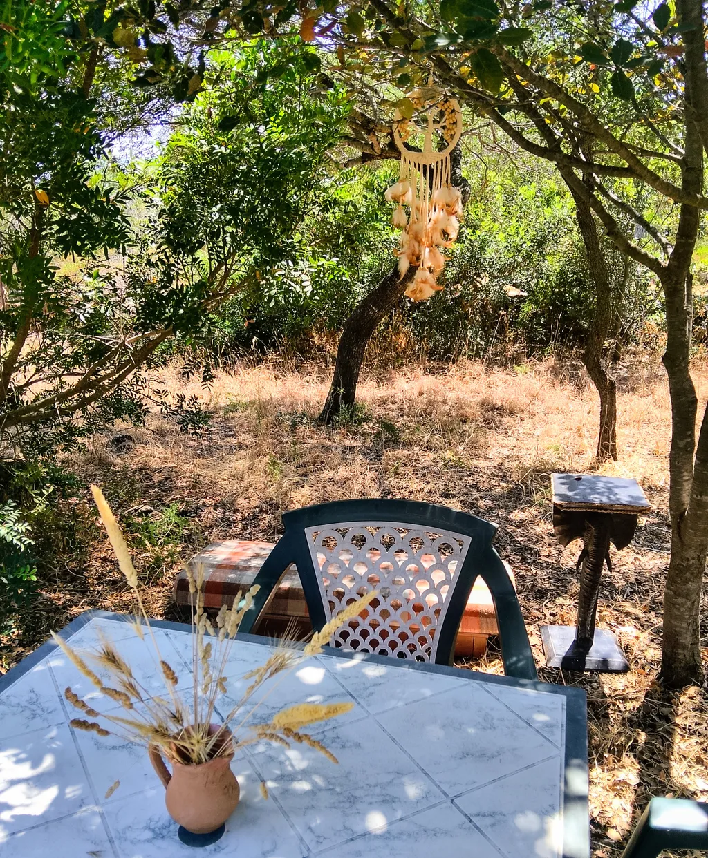 Campagna mediterranea a tre km dal mare