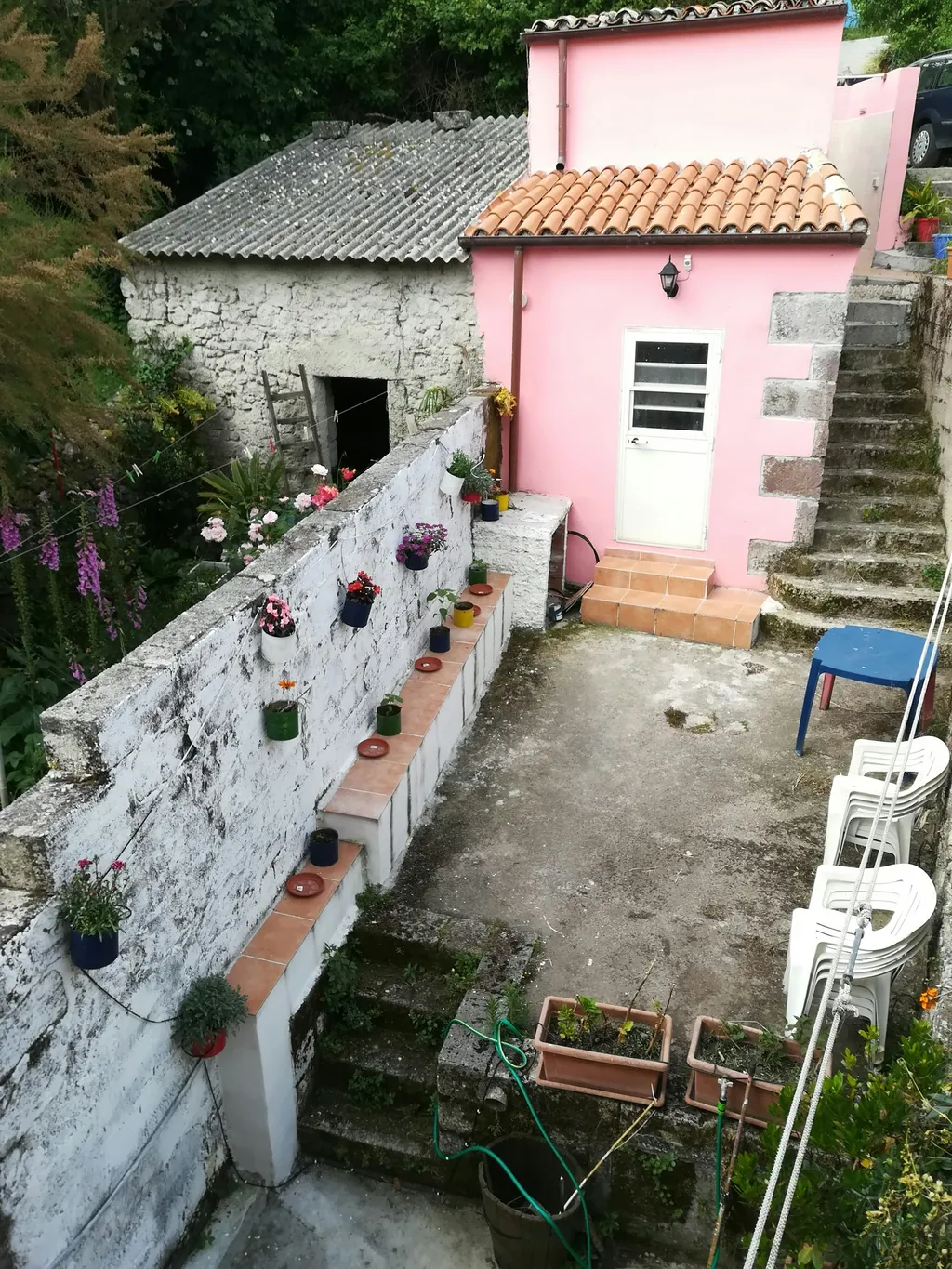 Il Giardino delle Ortensie ┇ Tenda