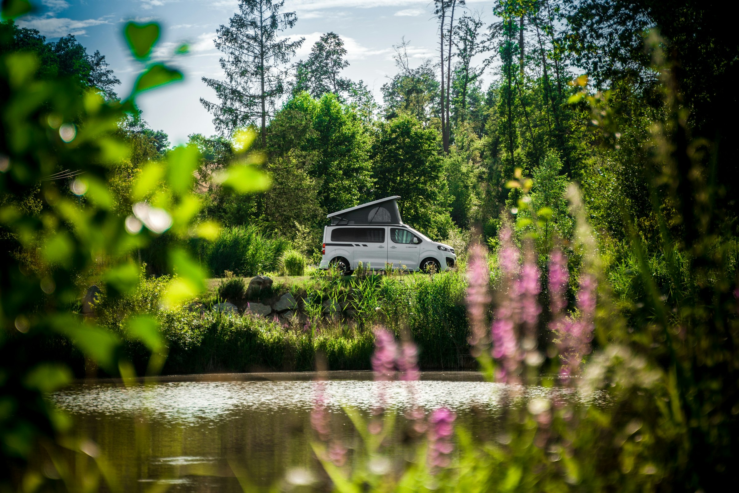 Wilde Heimat 1, Natur pur am Teich
