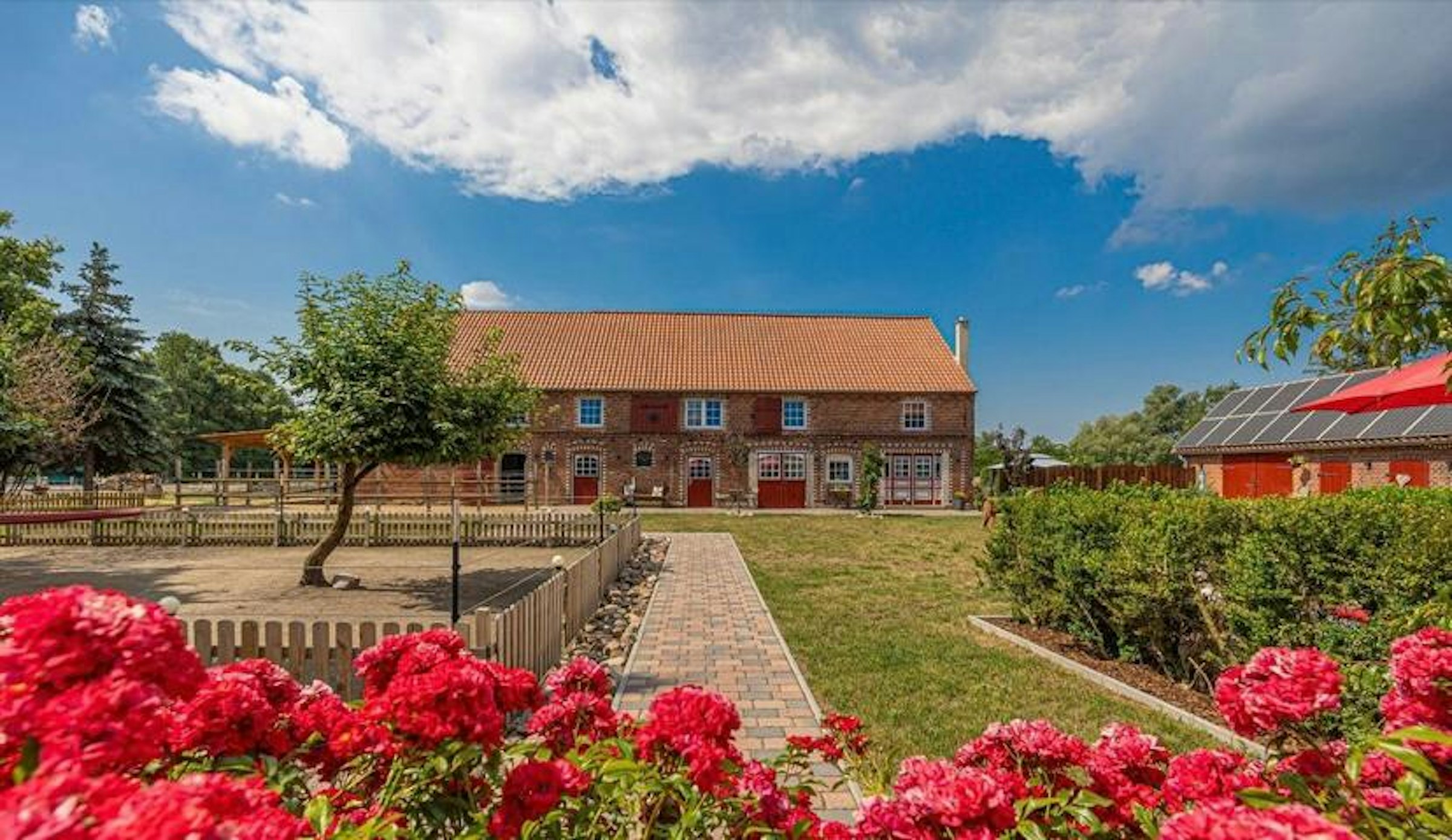 Mit Alpakas in idyllischer Lage