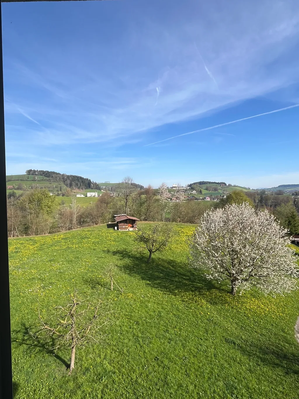 Zelten am Waldrand