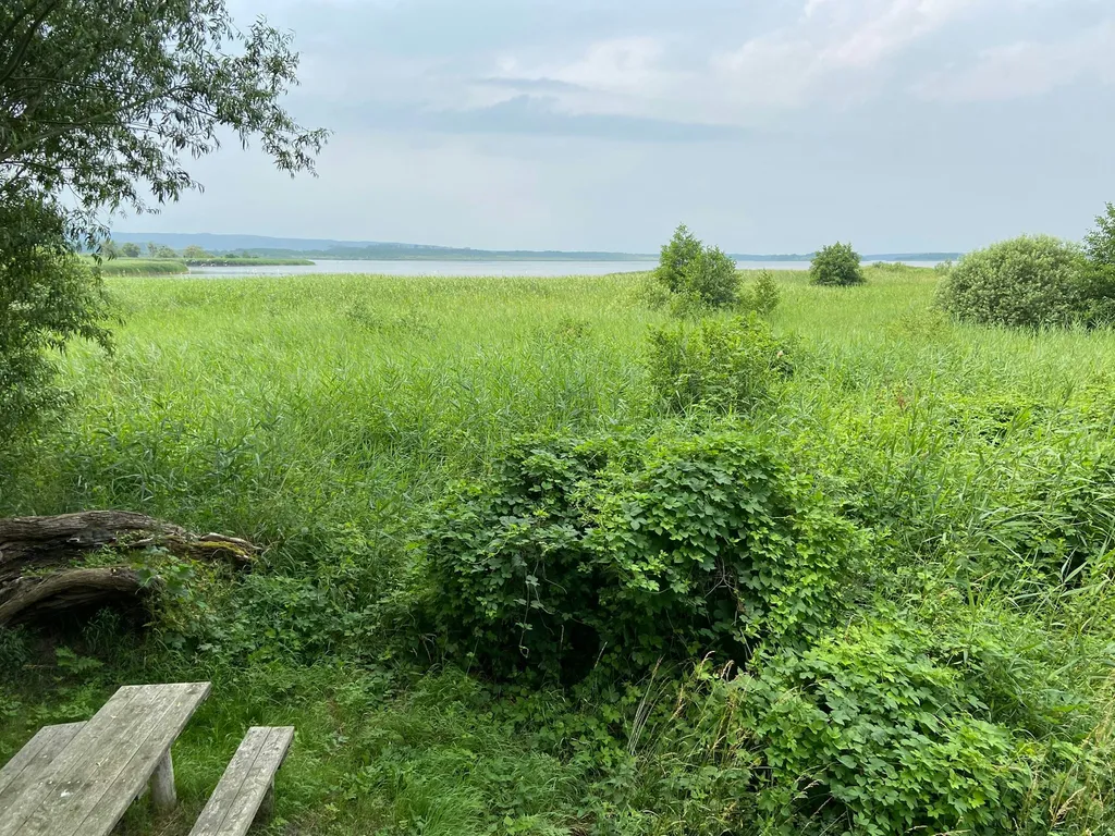 Familie Kamke avatar