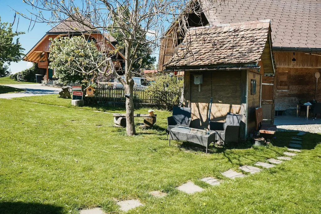 Unter dem Kirschbaum