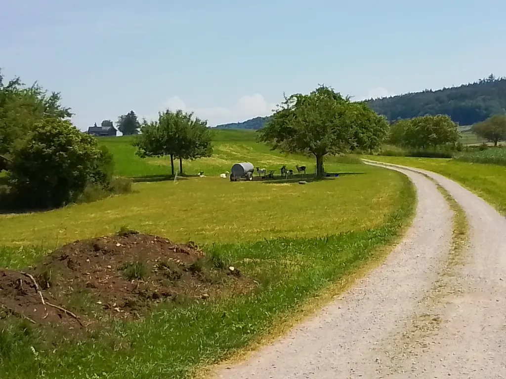 Campen auf dem Bio Bauernhof mit dem Zelt und Velo