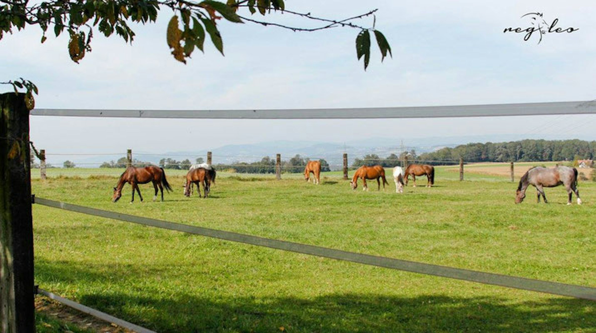 Blickrichtung Mühlviertel