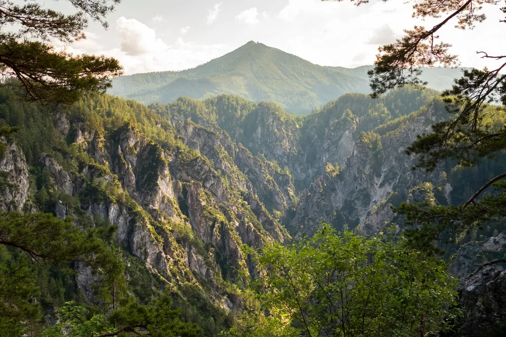 Blick über den Naturpark Ötscher-Tormäuer (Ausblick beim Wandern)