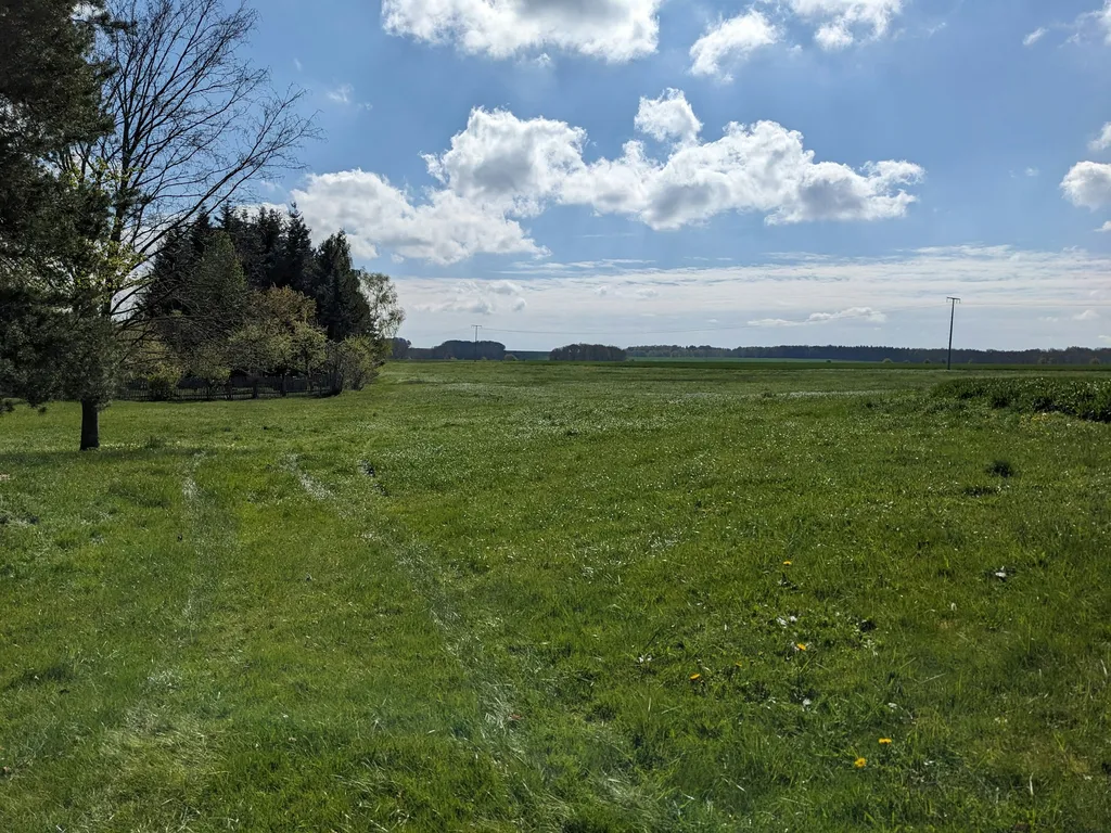 Ruhiger Naturgarten am Feldrand