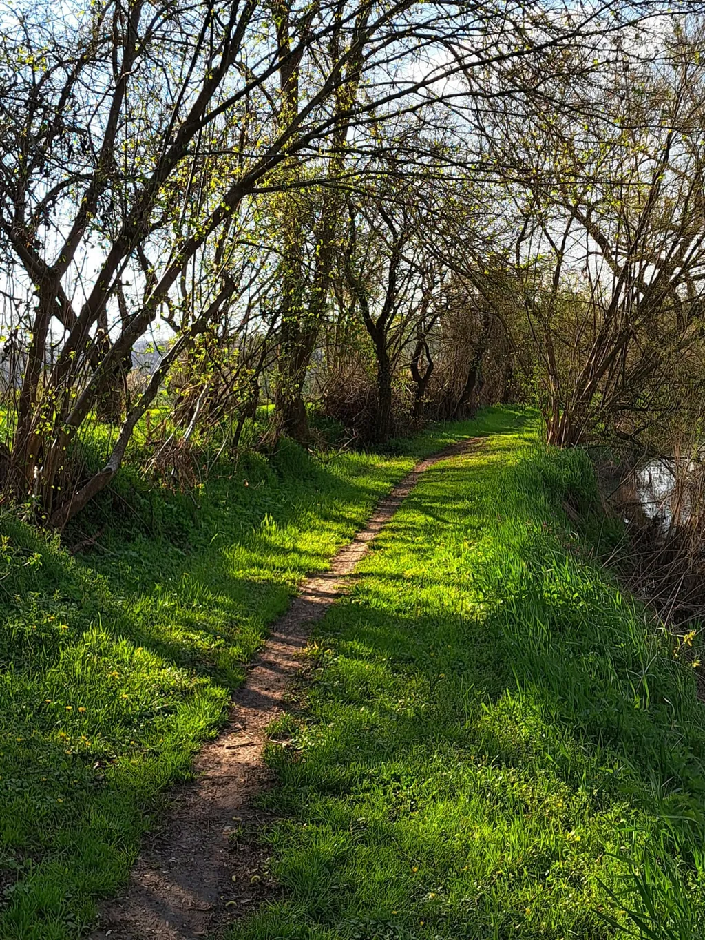 Womo Stellplatz unter den Nussbäumen