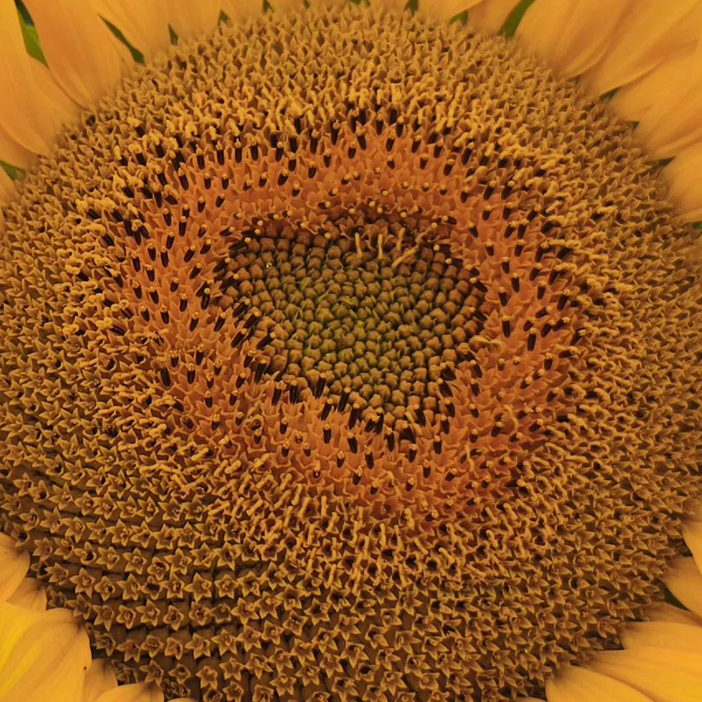 Profile picture of Sabrina