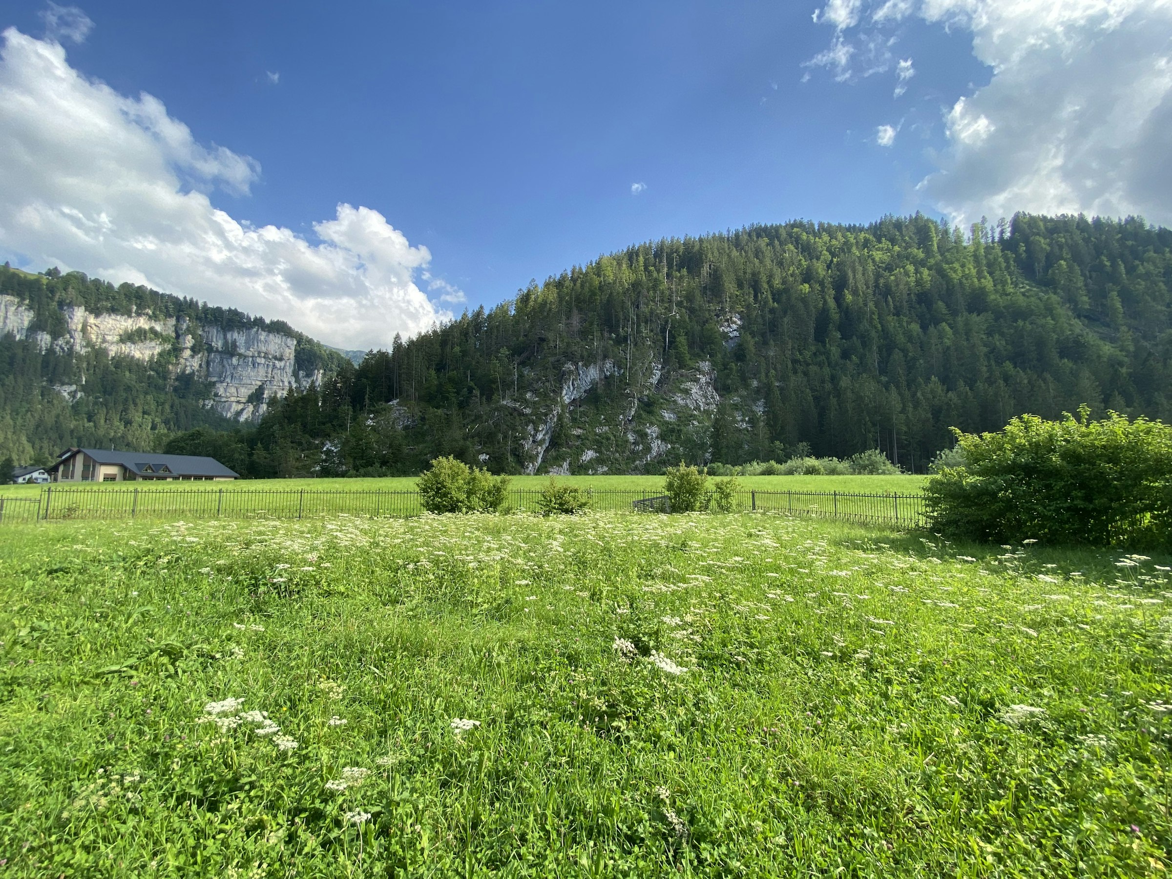 Naturerlebnis direkt beim Hallenbad