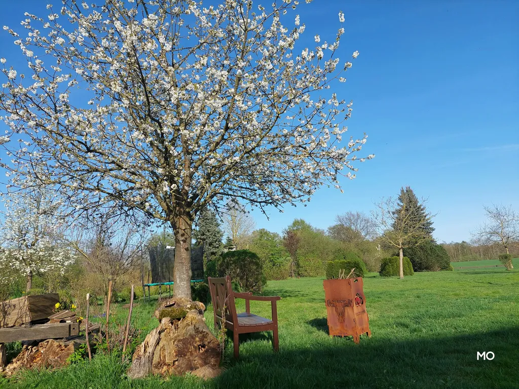 Wiesen-Camping-Natur-max.2 Zelte