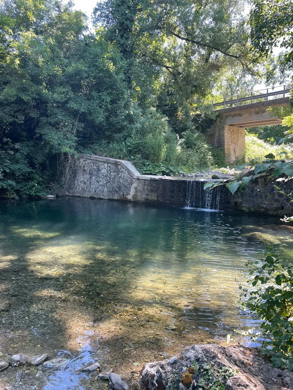 Camp Senxuia Nel Bosco