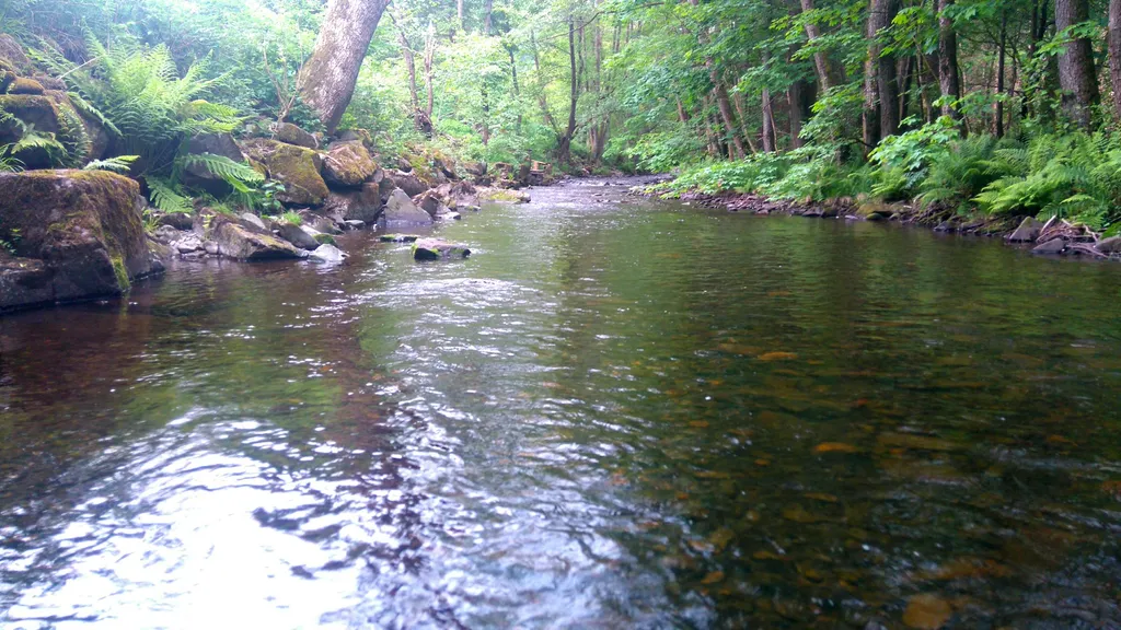 Paradies im Siebertal