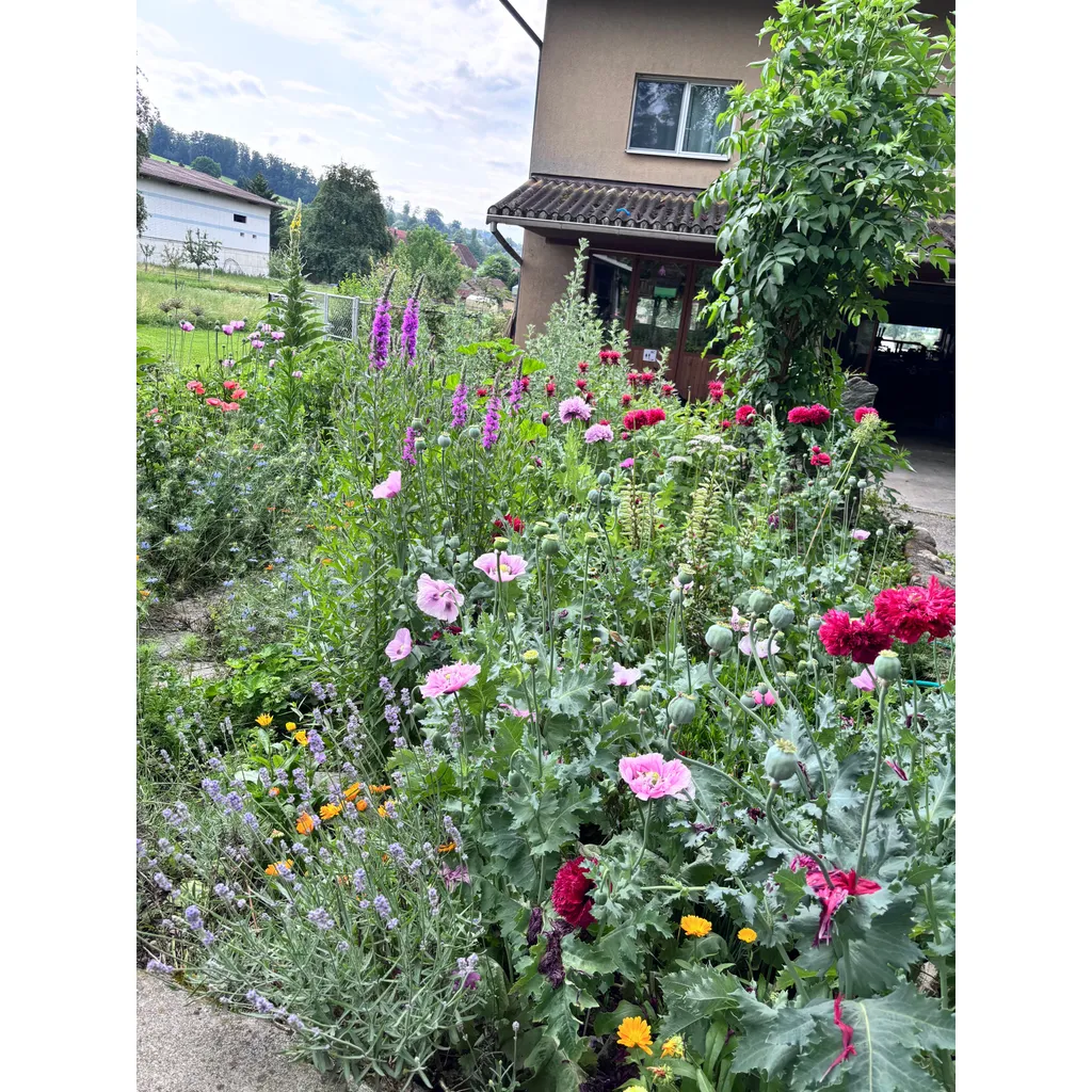 Im Bio-Obstgarten zwischen zwei Seen