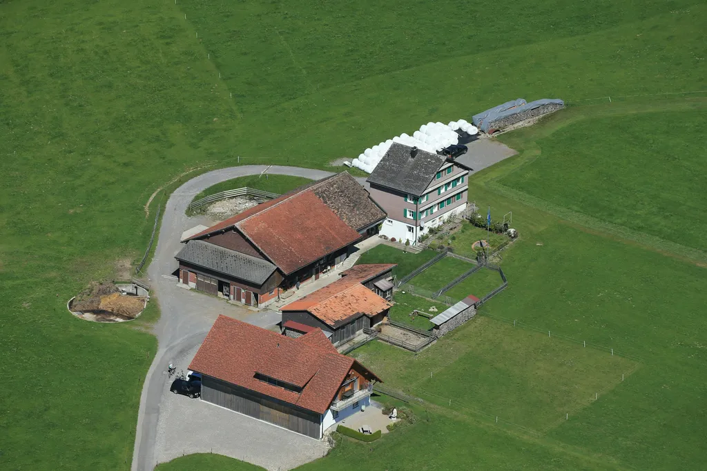 Bildrand oben, vor dem Holz, ist der Platz "Morgensonne"