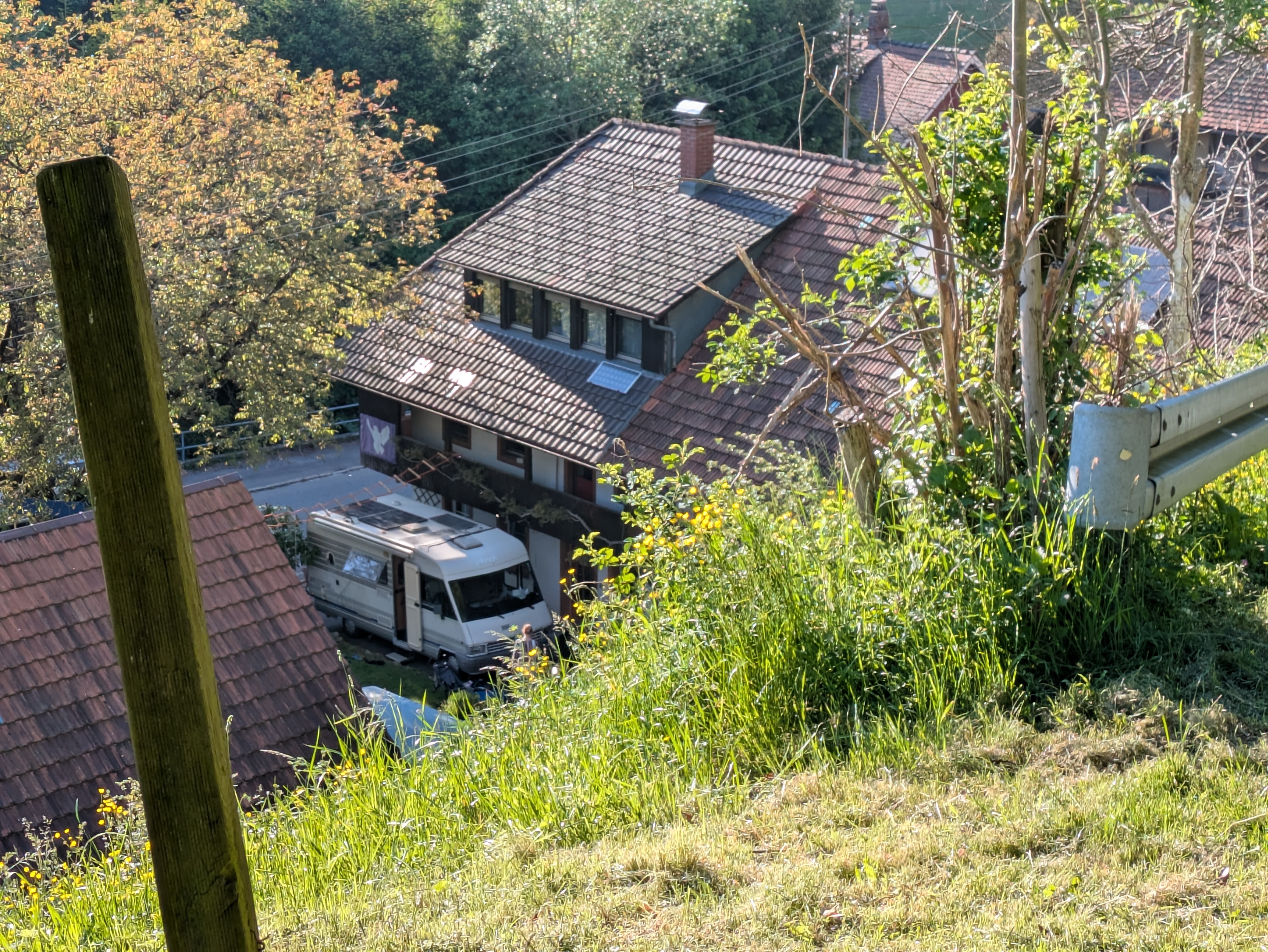 Happy Bürchau — photo 8